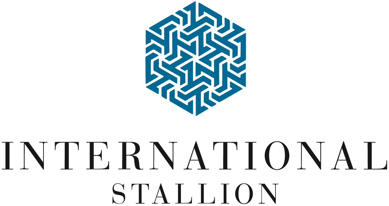 International Stallion